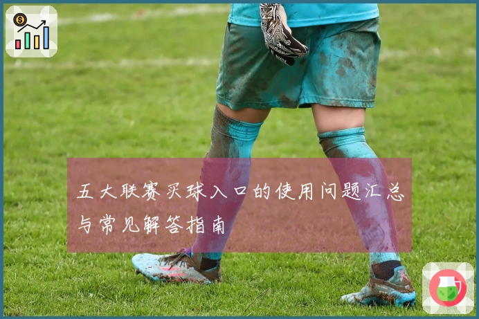 五大联赛买球入口的使用问题汇总与常见解答指南