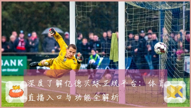 深度了解亿德买球正规平台：体育直播入口与功能全解析