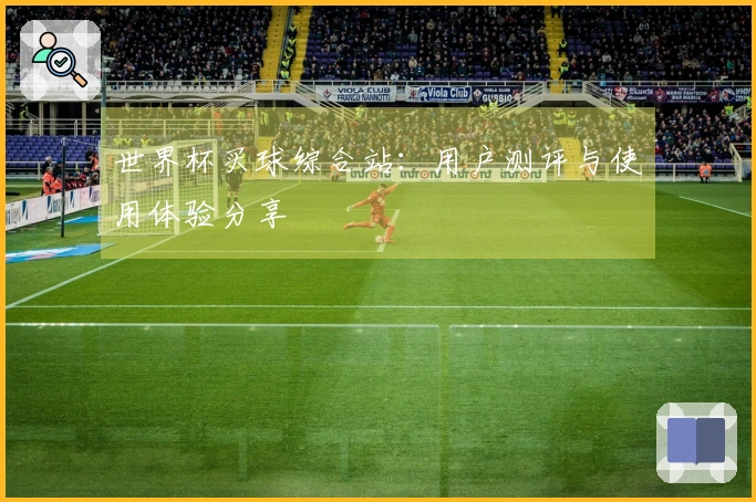 世界杯买球综合站：用户测评与使用体验分享