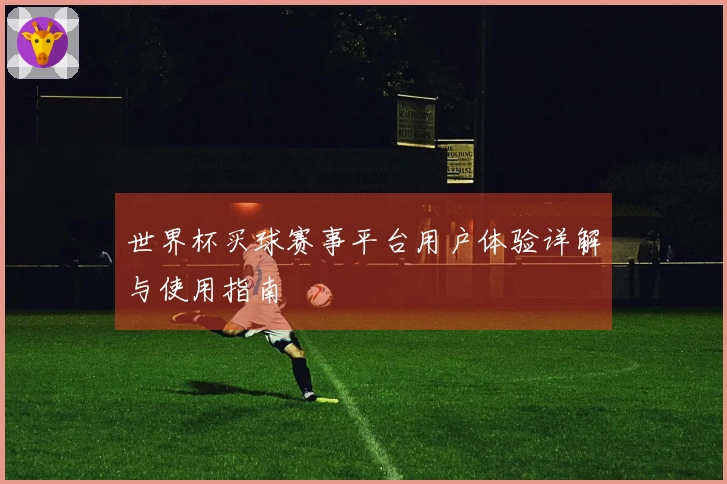 世界杯买球赛事平台用户体验详解与使用指南