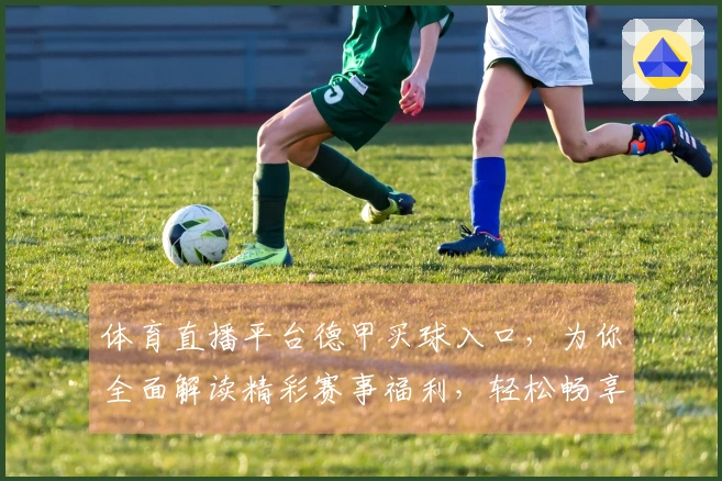 体育直播平台德甲买球入口，为你全面解读精彩赛事福利，轻松畅享观赛乐趣。