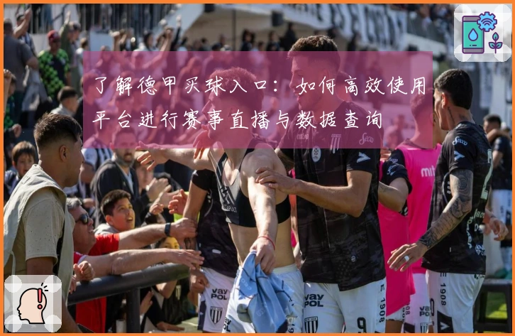 了解德甲买球入口：如何高效使用平台进行赛事直播与数据查询