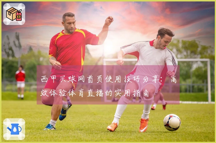 西甲买球网首页使用技巧分享：高效体验体育直播的实用指南