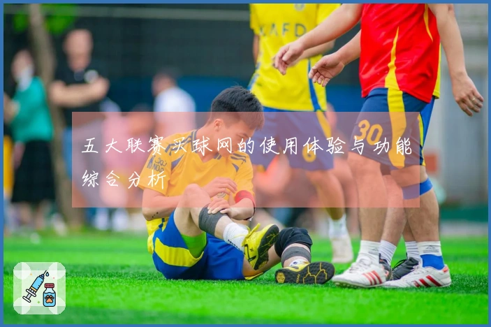 五大联赛买球网的使用体验与功能综合分析