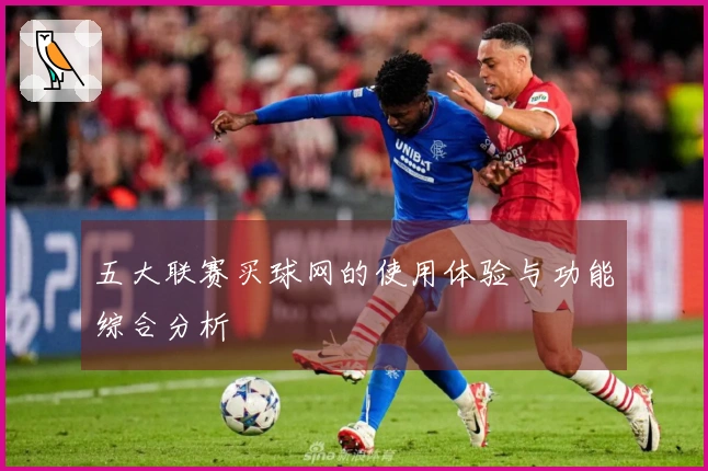 五大联赛买球网的使用体验与功能综合分析