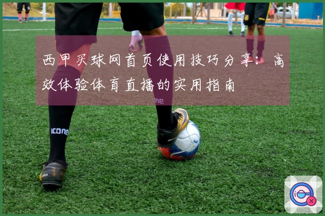 西甲买球网首页使用技巧分享：高效体验体育直播的实用指南