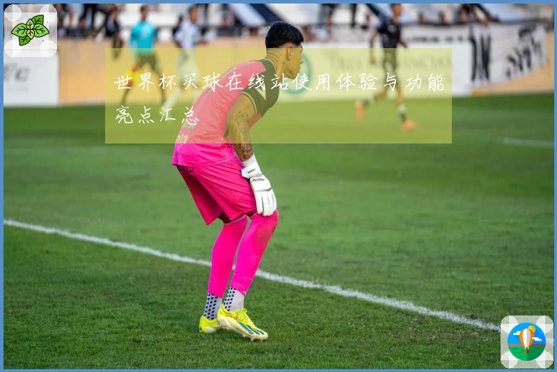 世界杯买球在线站使用体验与功能亮点汇总