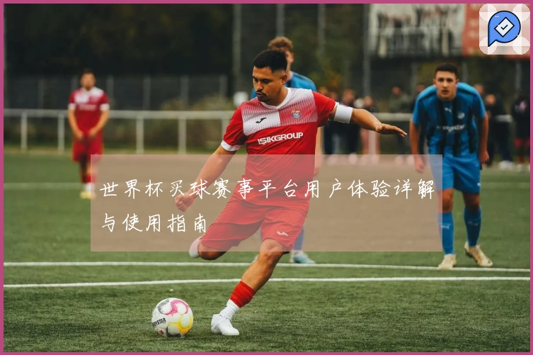 世界杯买球赛事平台用户体验详解与使用指南