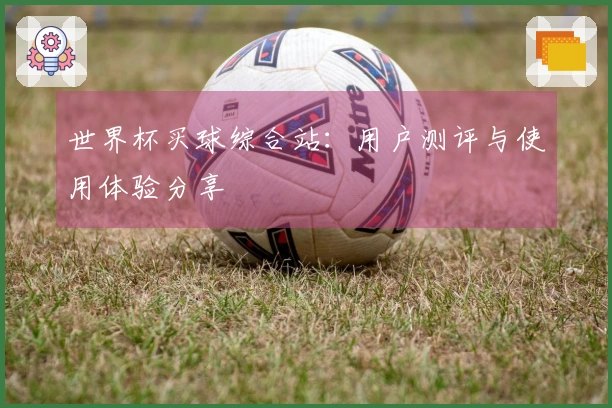 世界杯买球综合站：用户测评与使用体验分享