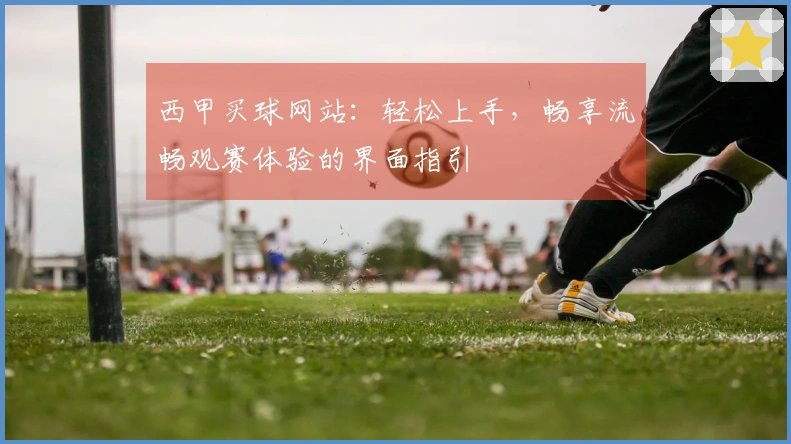 西甲买球网站：轻松上手，畅享流畅观赛体验的界面指引