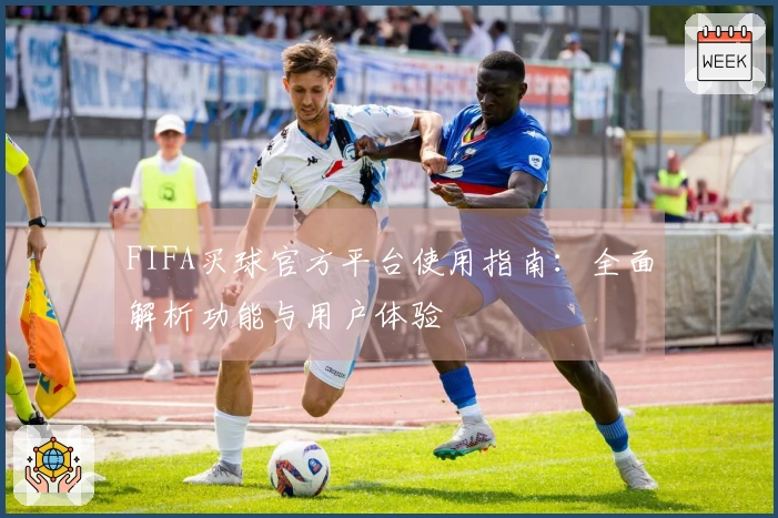 FIFA买球官方平台使用指南：全面解析功能与用户体验